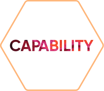 Capability Icon