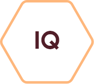 IQ Icon